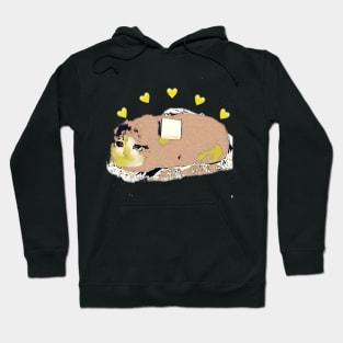 Burito cat Hoodie